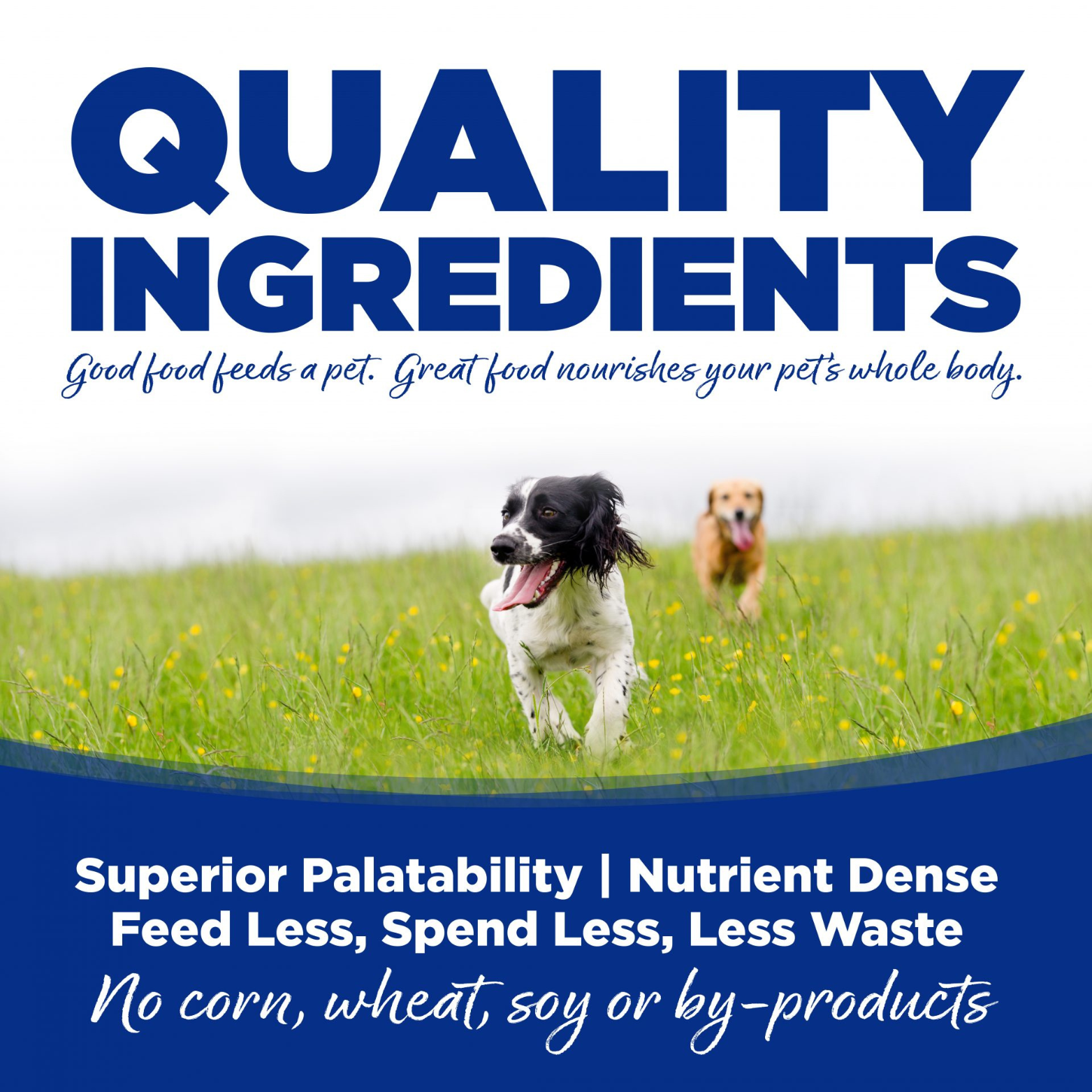 NutriSource Trout & Rice Formula Canned Dog Food