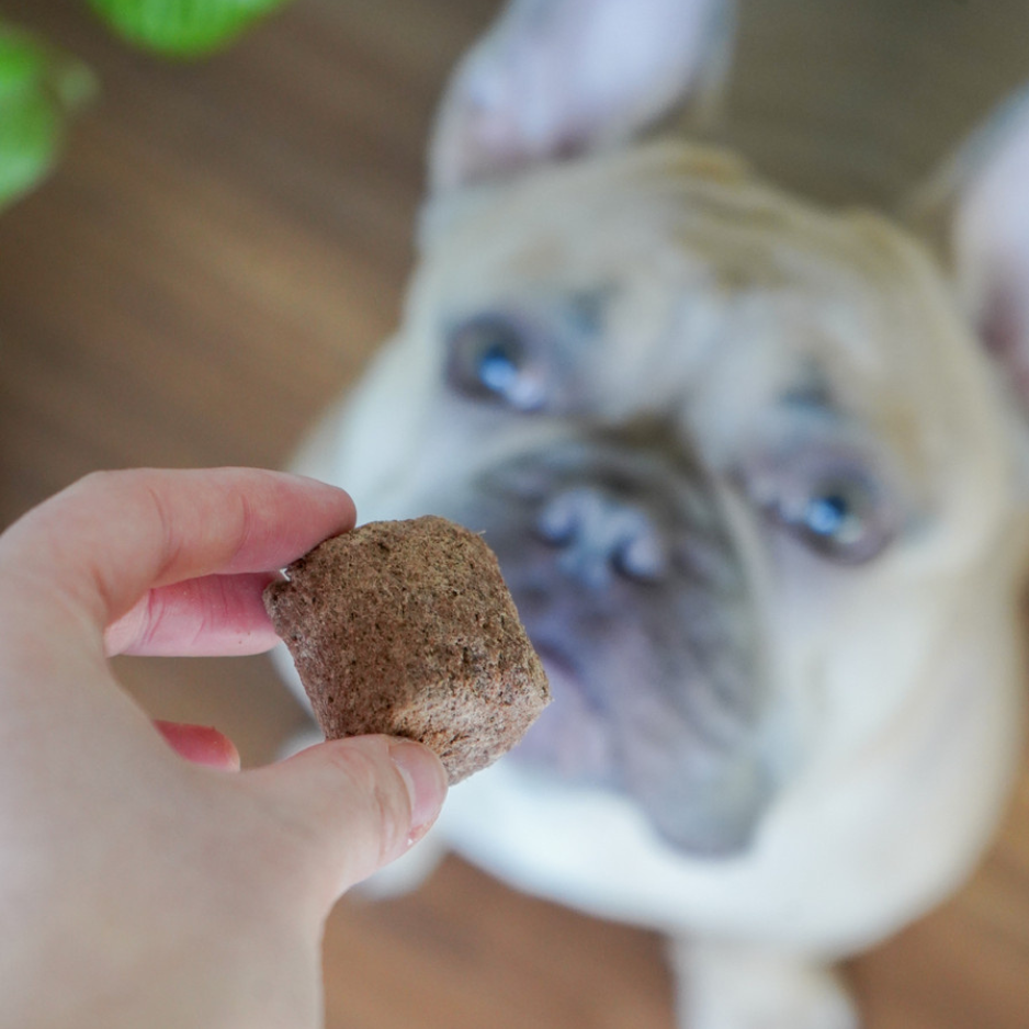 Oma's Pride Beef Organ Rounds Freeze-Dried Dog & Cat Treats