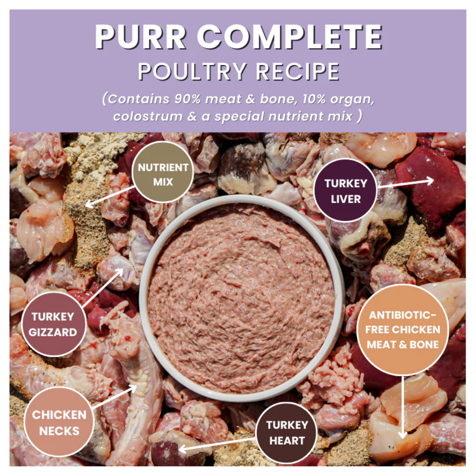 An ingredient infographic labeled “Purr Complete Poultry Recipe” shows a bowl of raw food in the center surrounded by raw poultry parts and nutrient powder, with callouts identifying turkey gizzard, turkey liver, chicken necks, turkey heart, antibiotic-free chicken meat and bone, and nutrient mix.