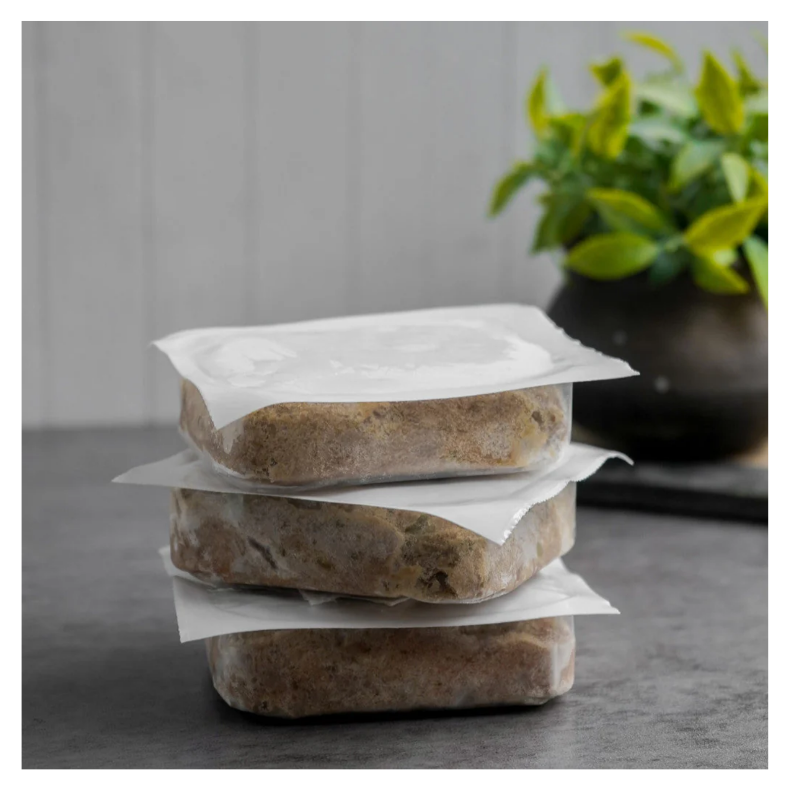 Close-up of three stacked frozen turkey dog food patties in white trays placed on a gray countertop with a blurred green plant in the background.