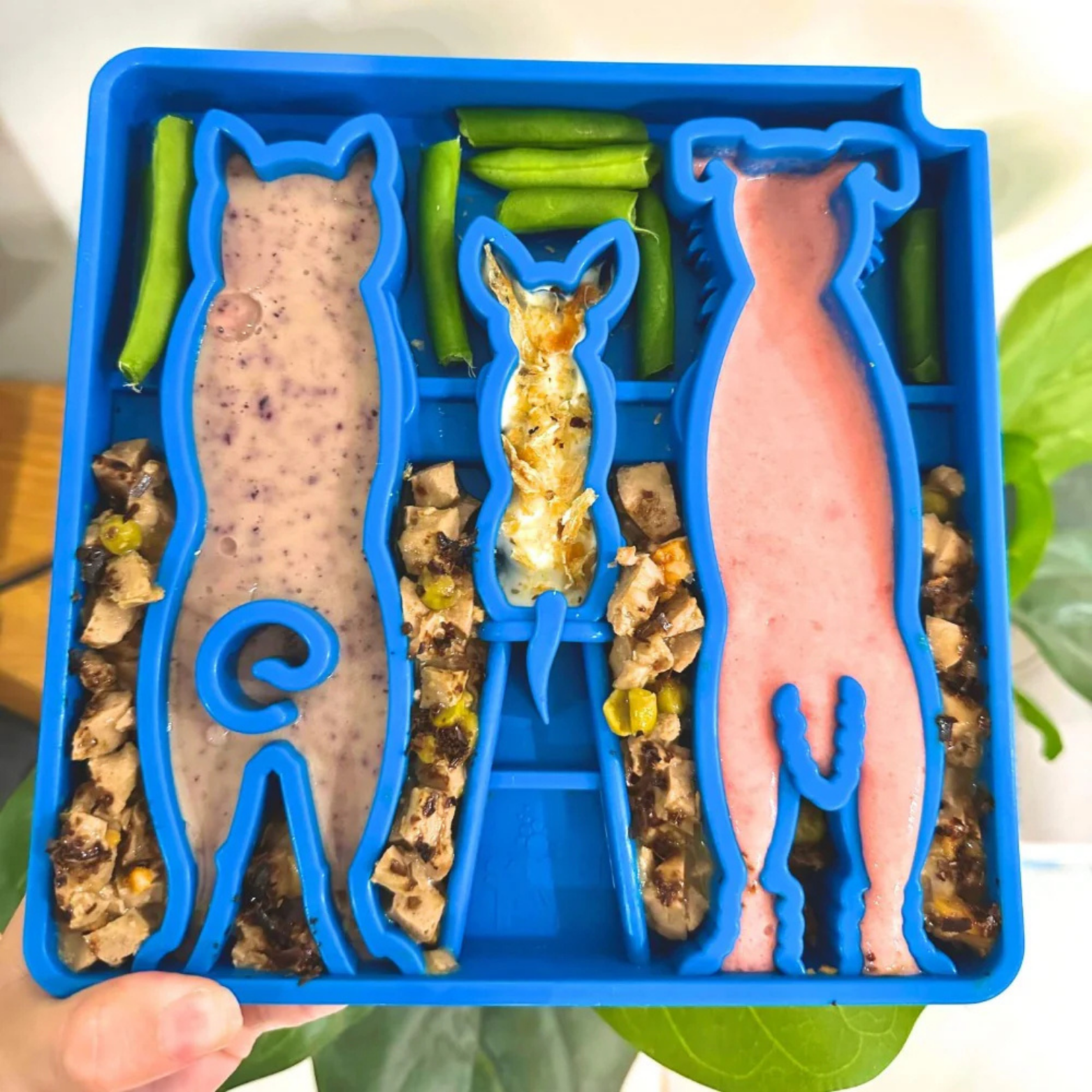 SodaPup Waiting Dogs Design Etray Enriching Shallow Slow Feeder for Dogs