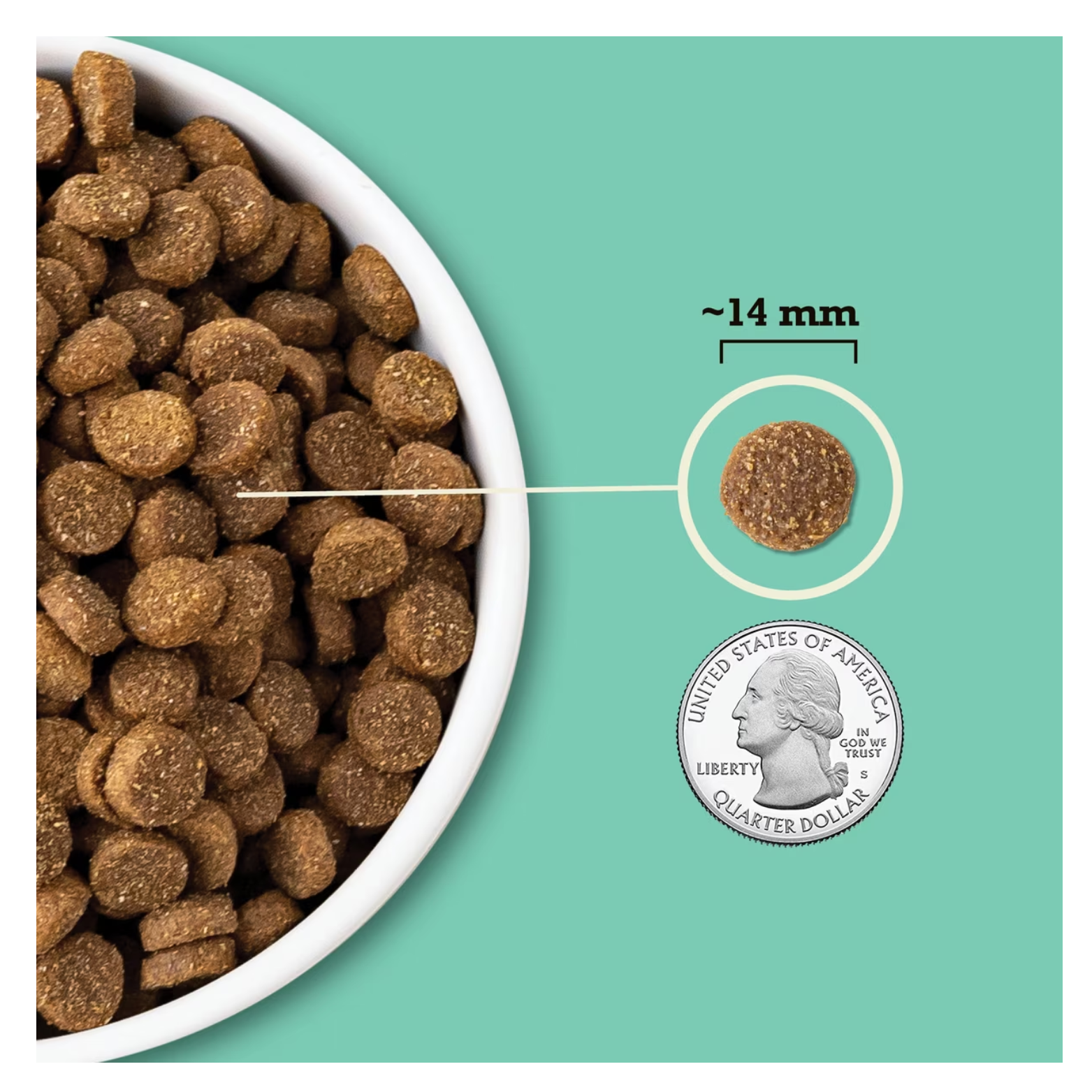 Close-up image of ACANA dry dog food kibble in a bowl, with one kibble highlighted and labeled approximately 14 millimeters in diameter, shown next to a U.S. quarter for size comparison.