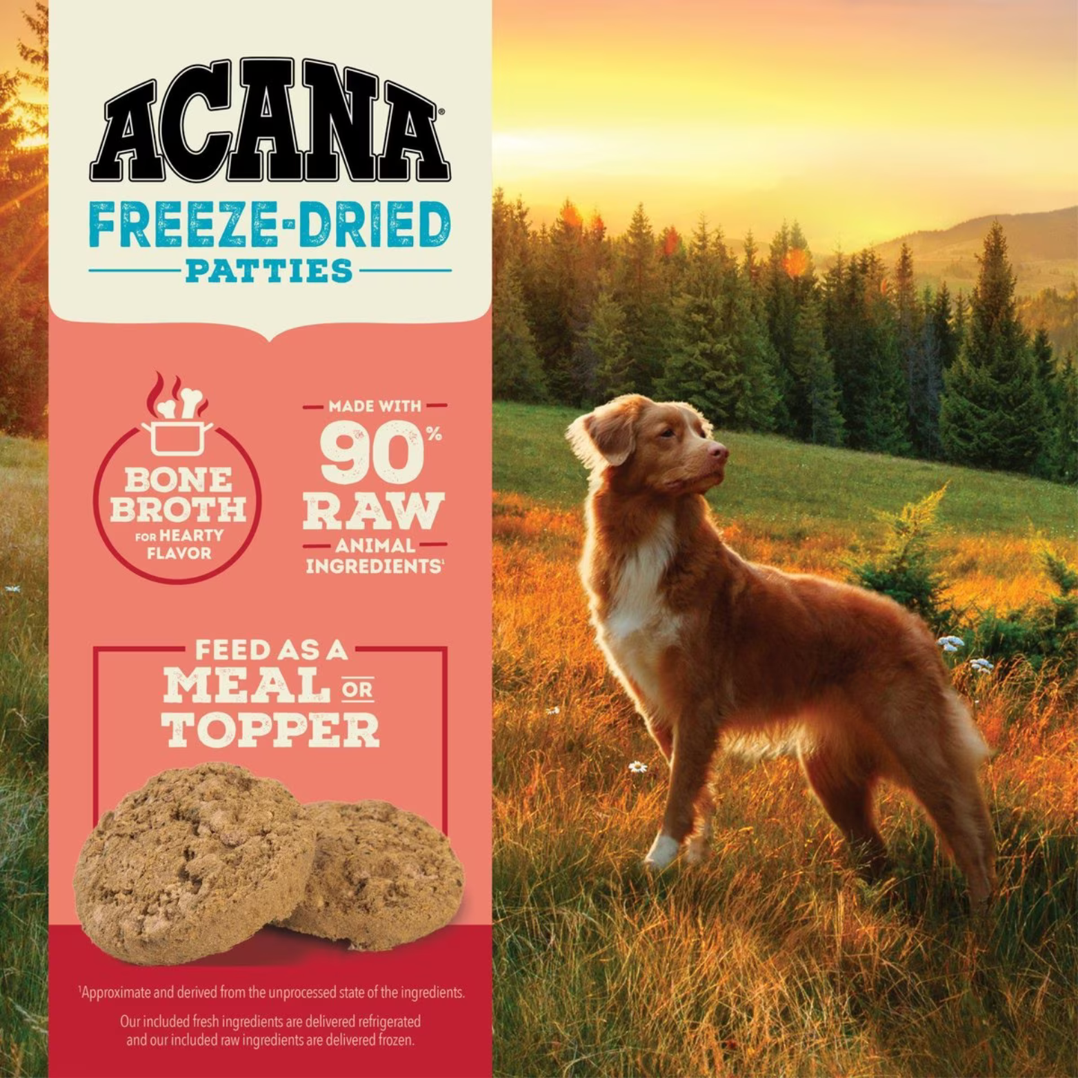 Graphic showing a dog standing in a sunlit field next to the ACANA Freeze-Dried Patties branding, highlighting bone broth for flavor, 90% raw animal ingredients, and that the patties can be fed as a meal or topper.