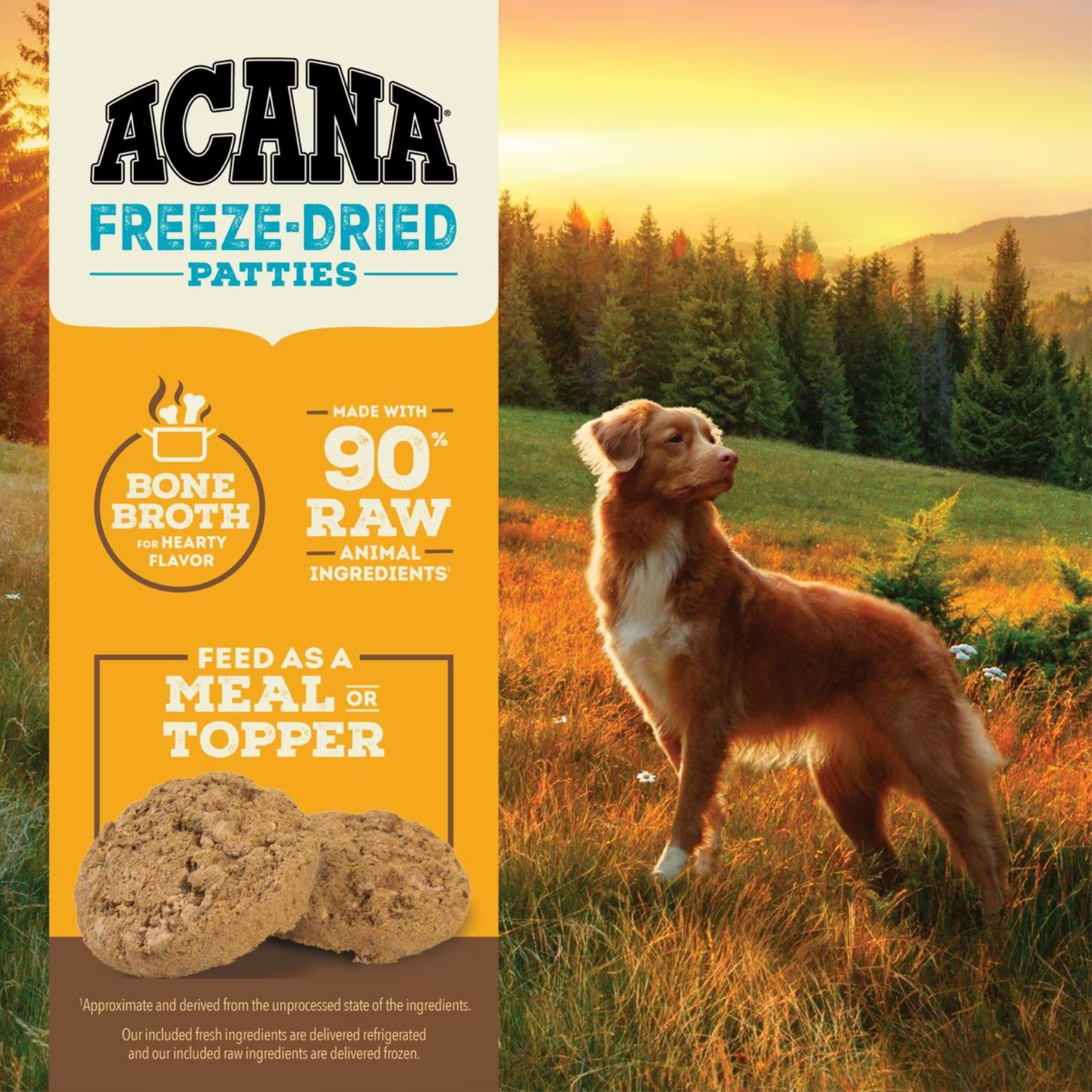 ACANA Freeze-Dried Patties promotional image with a dog standing in a sunlit field next to graphics highlighting bone broth, 90% raw animal ingredients, and options to feed as a meal or topper.