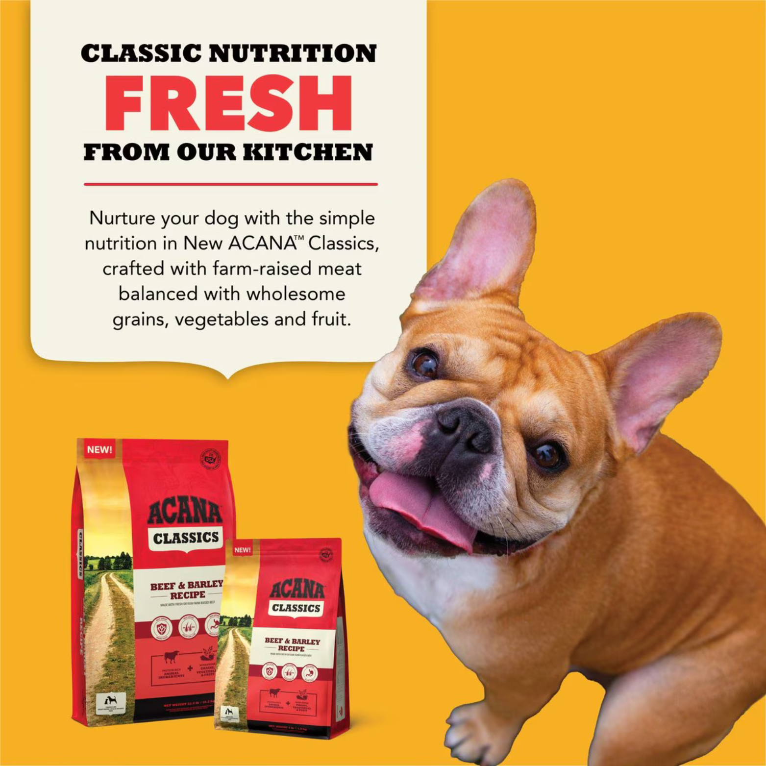Promotional graphic reading “Classic Nutrition Fresh From Our Kitchen,” featuring a dog and ACANA Classics Beef & Barley dry food bags on a yellow background.