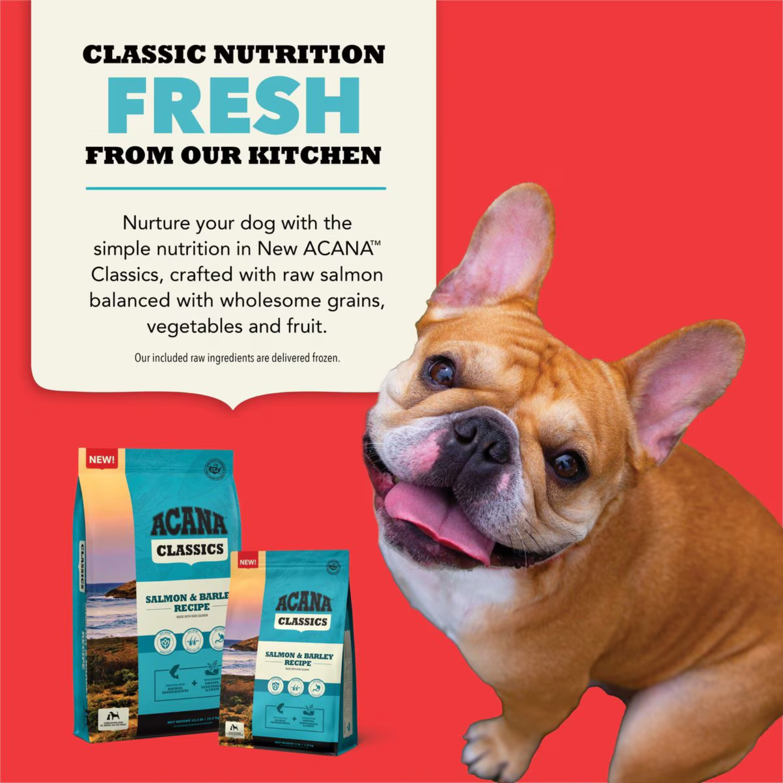 Promotional graphic reading “Classic Nutrition Fresh From Our Kitchen” with a dog image and ACANA Classics Salmon & Barley dry food bags.