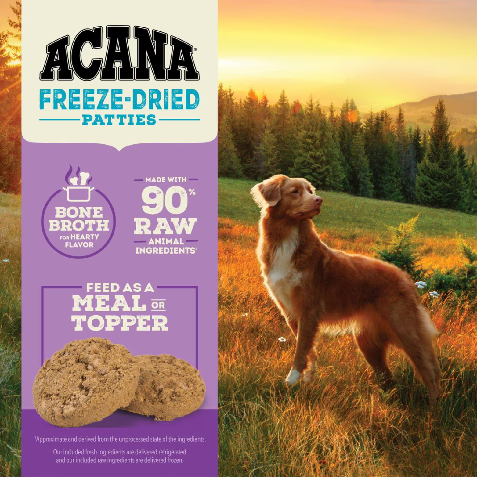 ACANA Freeze-Dried Patties graphic showing a dog in a field with icons for bone broth, 90% raw animal ingredients, and patties fed as a meal or topper.