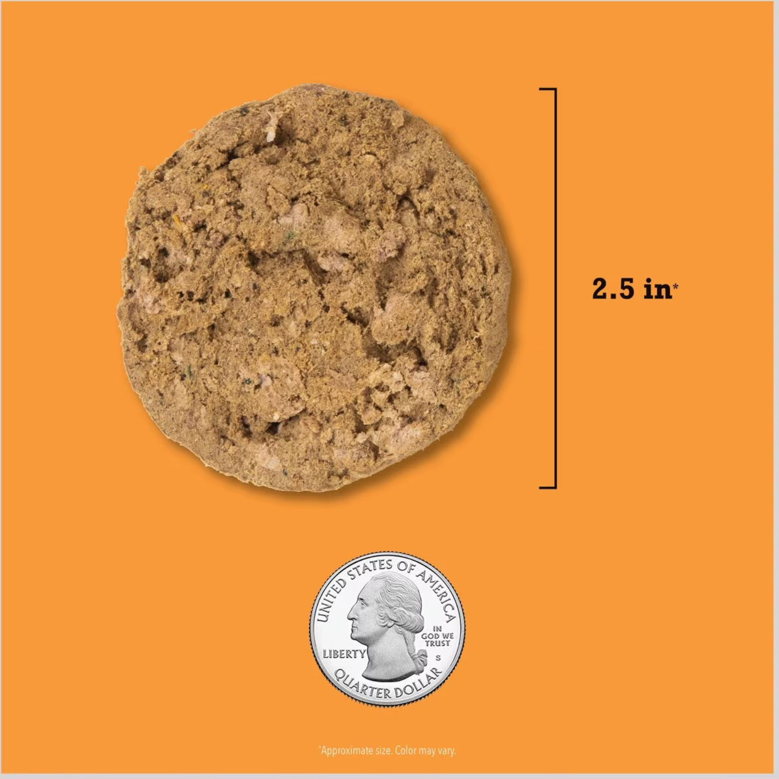 Single freeze-dried patty displayed against an orange background with a 2.5-inch size marker and a U.S. quarter coin for scale.