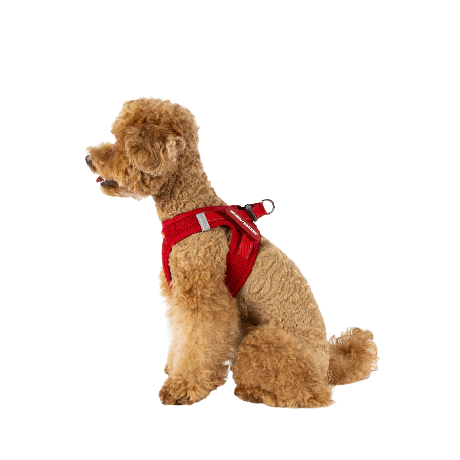 Ezydog Formfit Harness, Olive