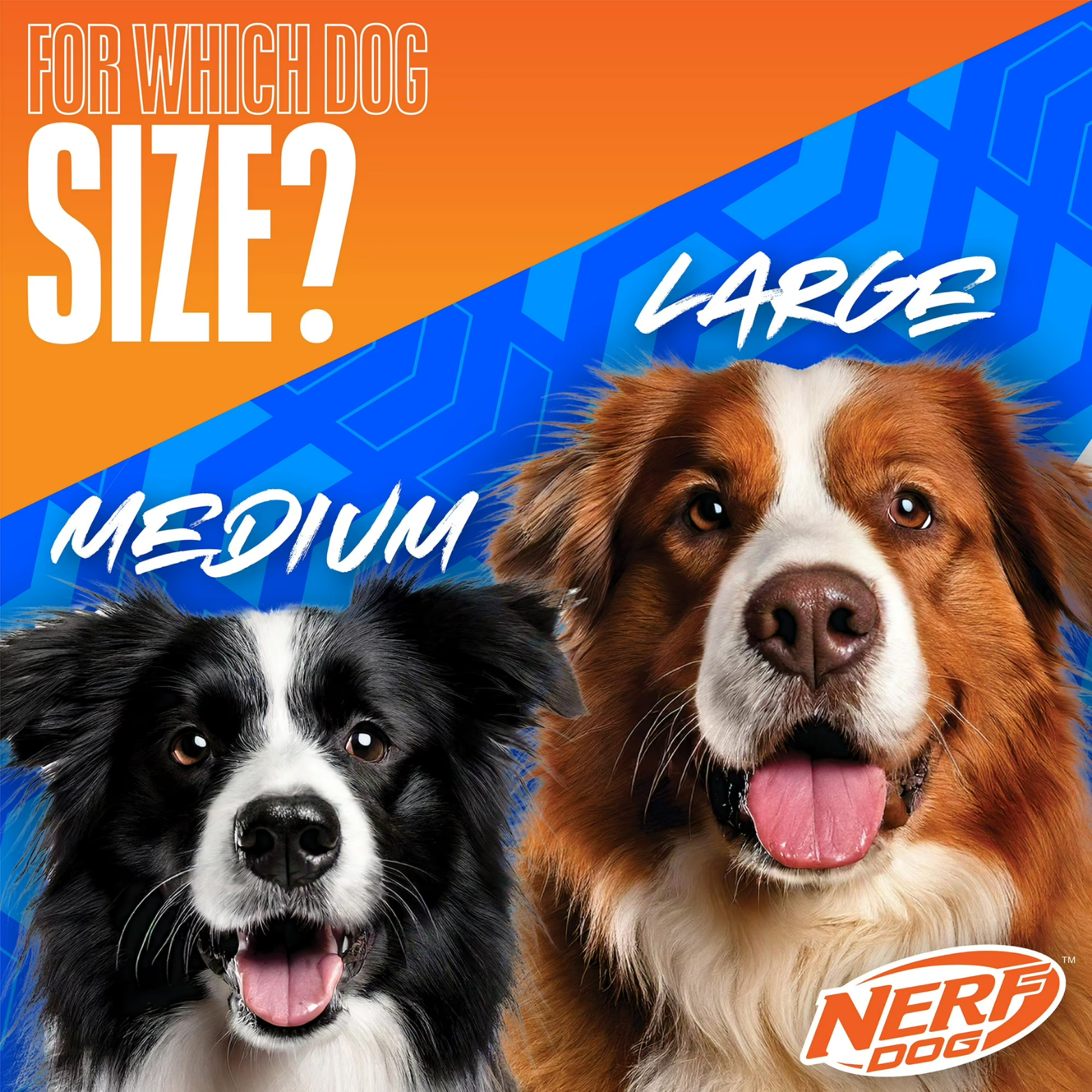 Nerf Dog Digital Camo Crinkle Wing Duck Launching Fetch Dog Toy, Orange/Blue, 16.5 inch