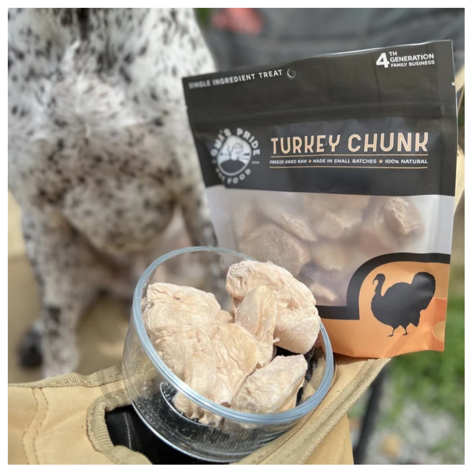 Clear bowl filled with large freeze-dried turkey chunks held near a dog, with the Oma’s Pride Turkey Chunk bag visible behind it outdoors.