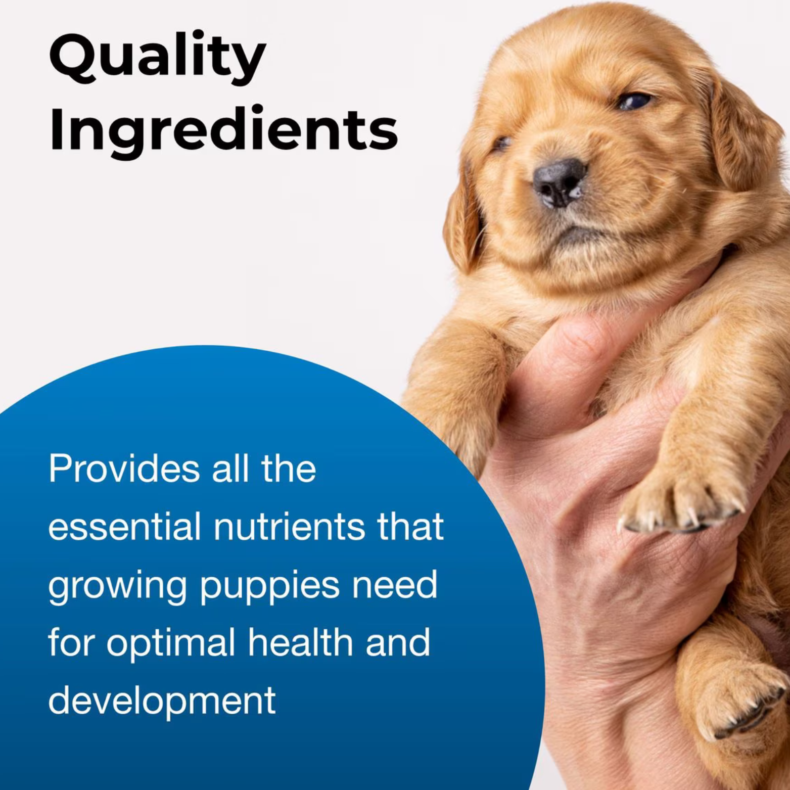 PetAg® Goat’s Milk Esbilac Powder for Puppies 12oz