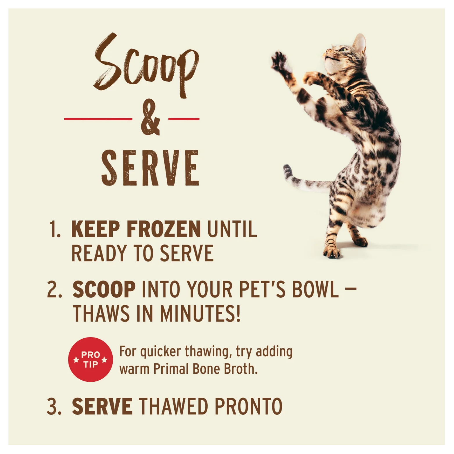 Instruction graphic titled “Scoop & Serve” featuring a spotted cat jumping on the right side. Steps explain to keep frozen until ready to serve, scoop into the pet’s bowl where it thaws in minutes, and serve thawed Pronto. A pro tip suggests adding warm bone broth for faster thawing.