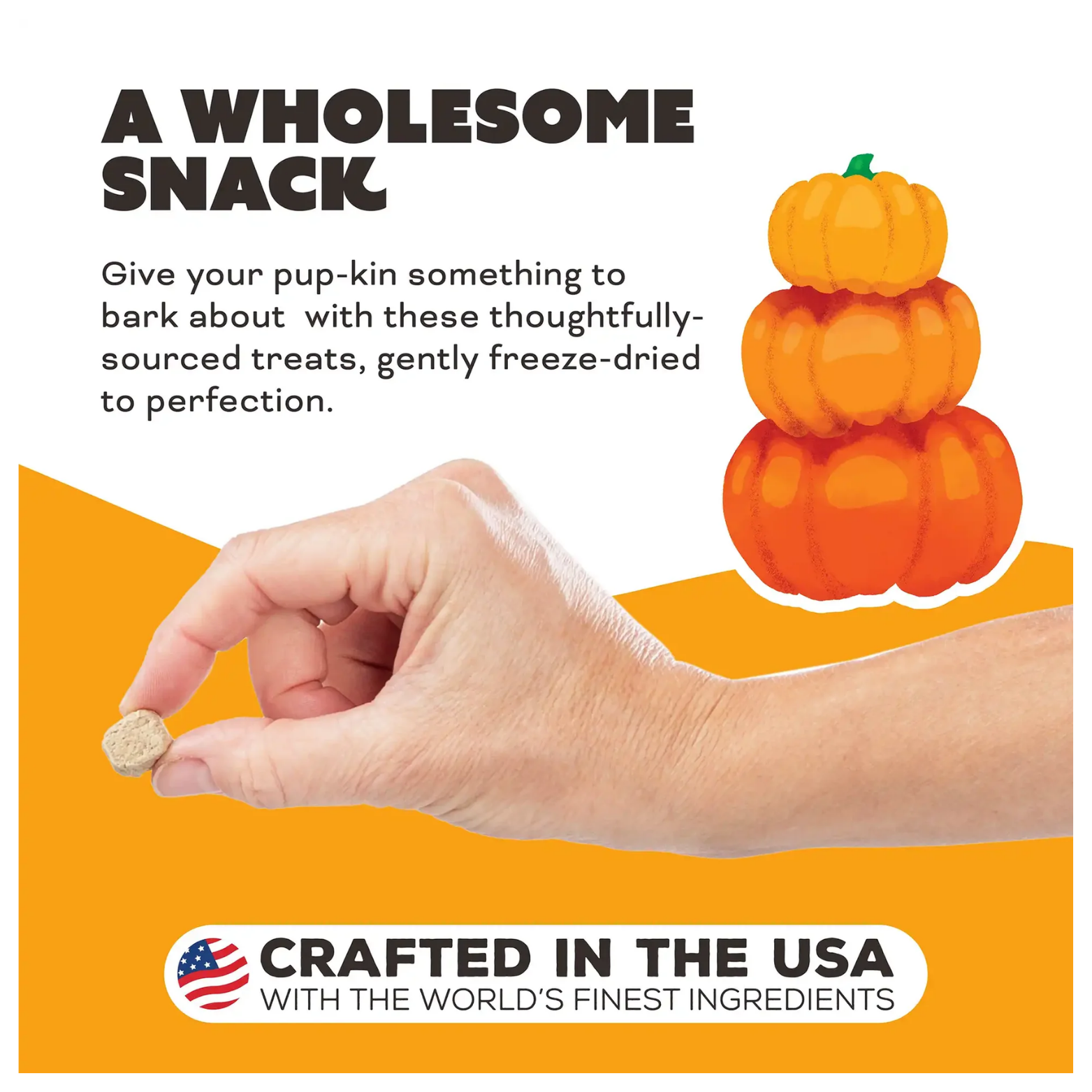 An action shot showing a human hand holding a single, small treat between the thumb and forefinger to demonstrate its size. Beside the hand is an illustration of three stacked pumpkins. The bottom of the image features a "Crafted in the USA" logo with an American flag icon.