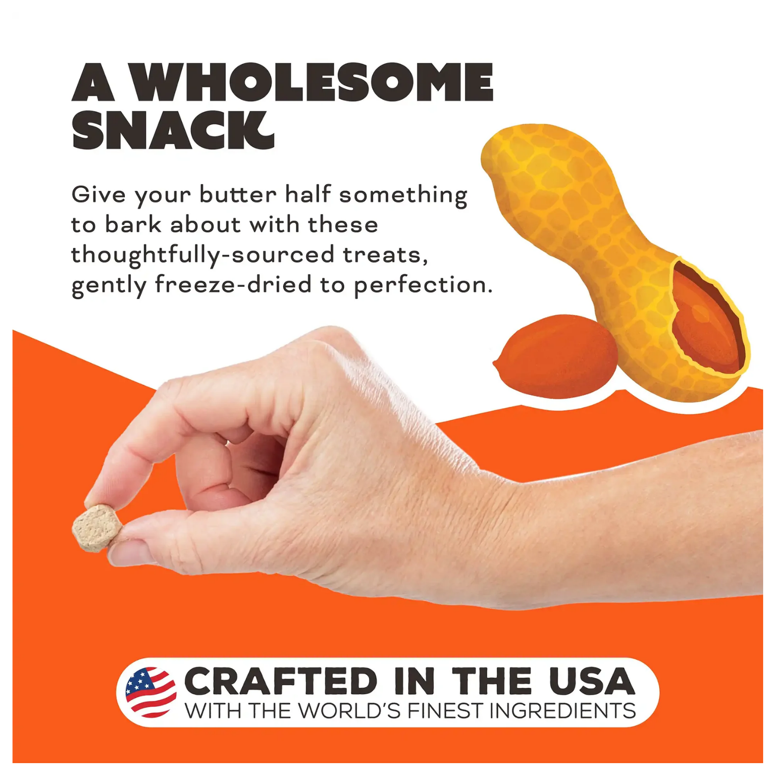 A hand holding a single cube-shaped dog treat in front of an orange and white background with peanuts illustrated. Text reads “A Wholesome Snack” and describes thoughtfully sourced treats gently freeze-dried to perfection, with a badge stating “Crafted in the USA with the world’s finest ingredients.”