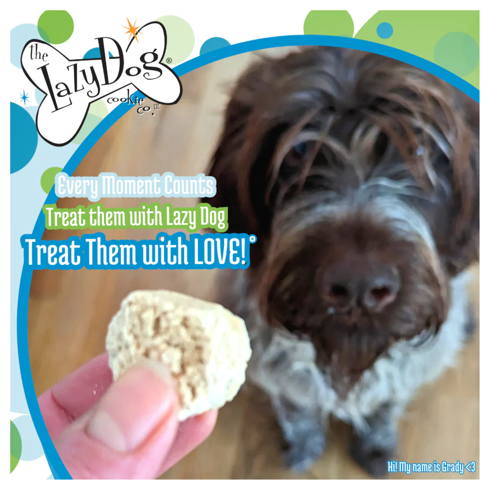 A person holding a small, beige dog treat in the foreground while a brown-and-white dog looks at it attentively in the background, promoting dog treats from The Lazy Dog Cookie Company.