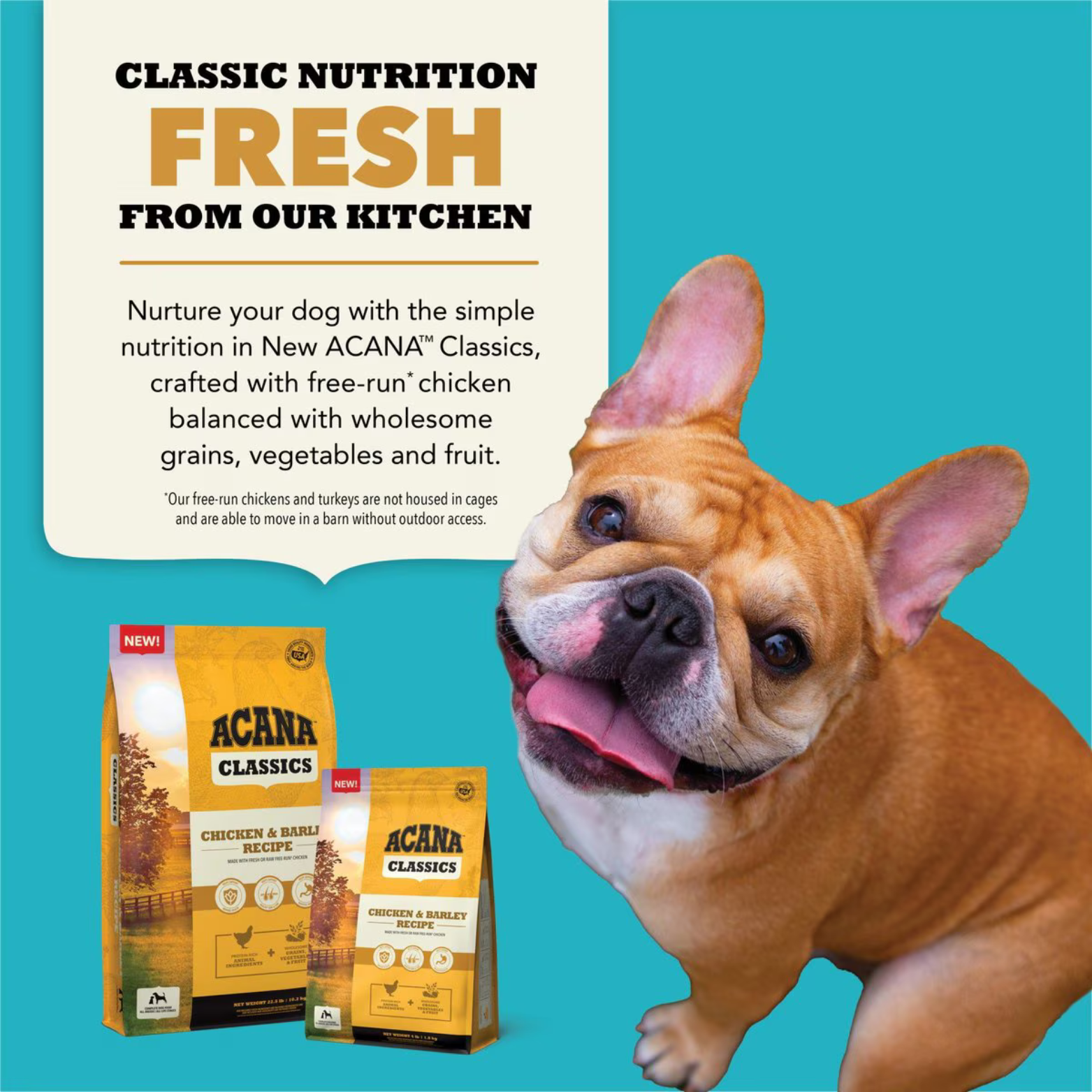 Promotional graphic reading “Classic Nutrition Fresh From Our Kitchen,” featuring a dog and ACANA Classics Chicken & Barley dry food bags on a teal background.