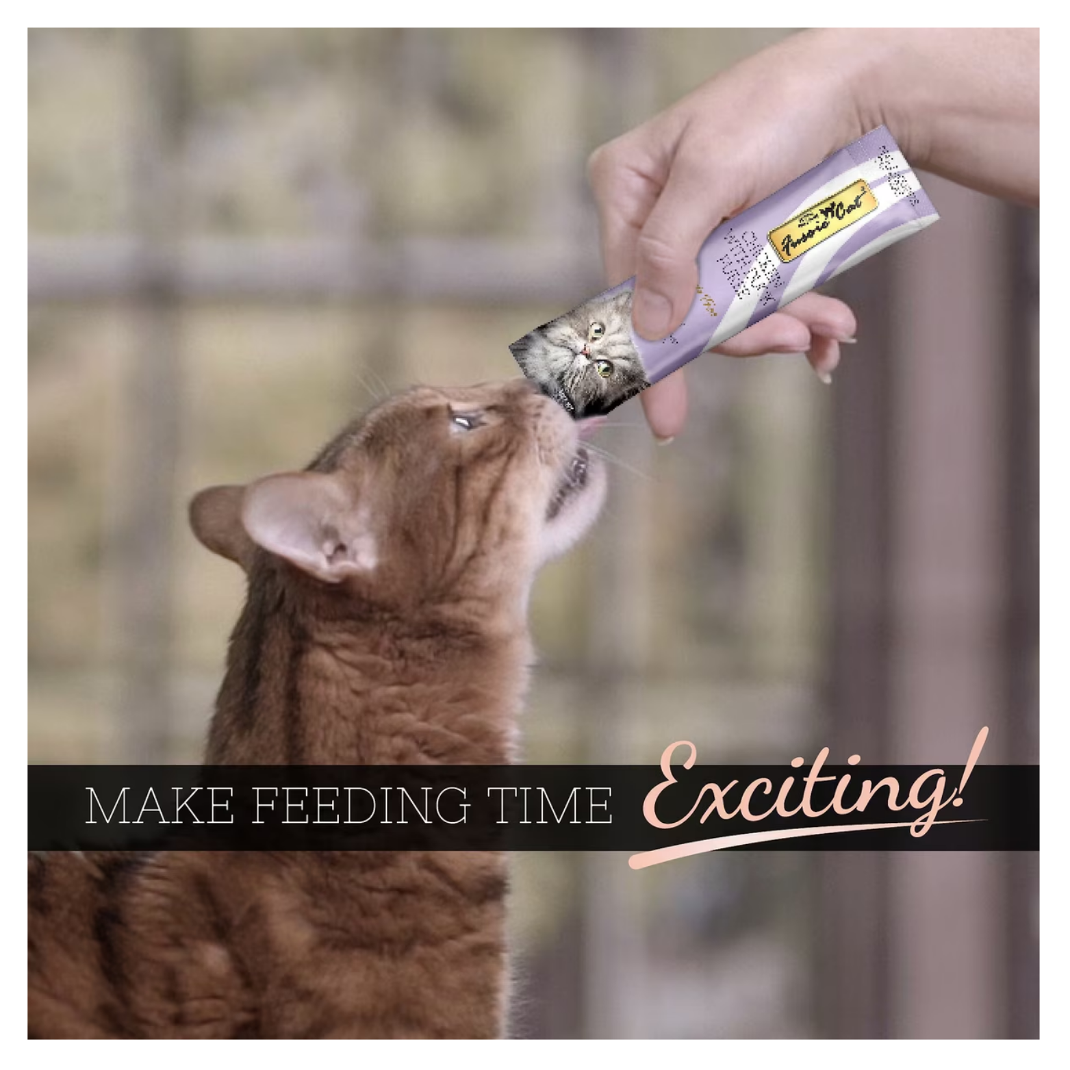 Photo of a cat being hand-fed Fussie Cat Chicken with Duck Purée from a squeeze tube, emphasizing excitement and engagement during feeding time.