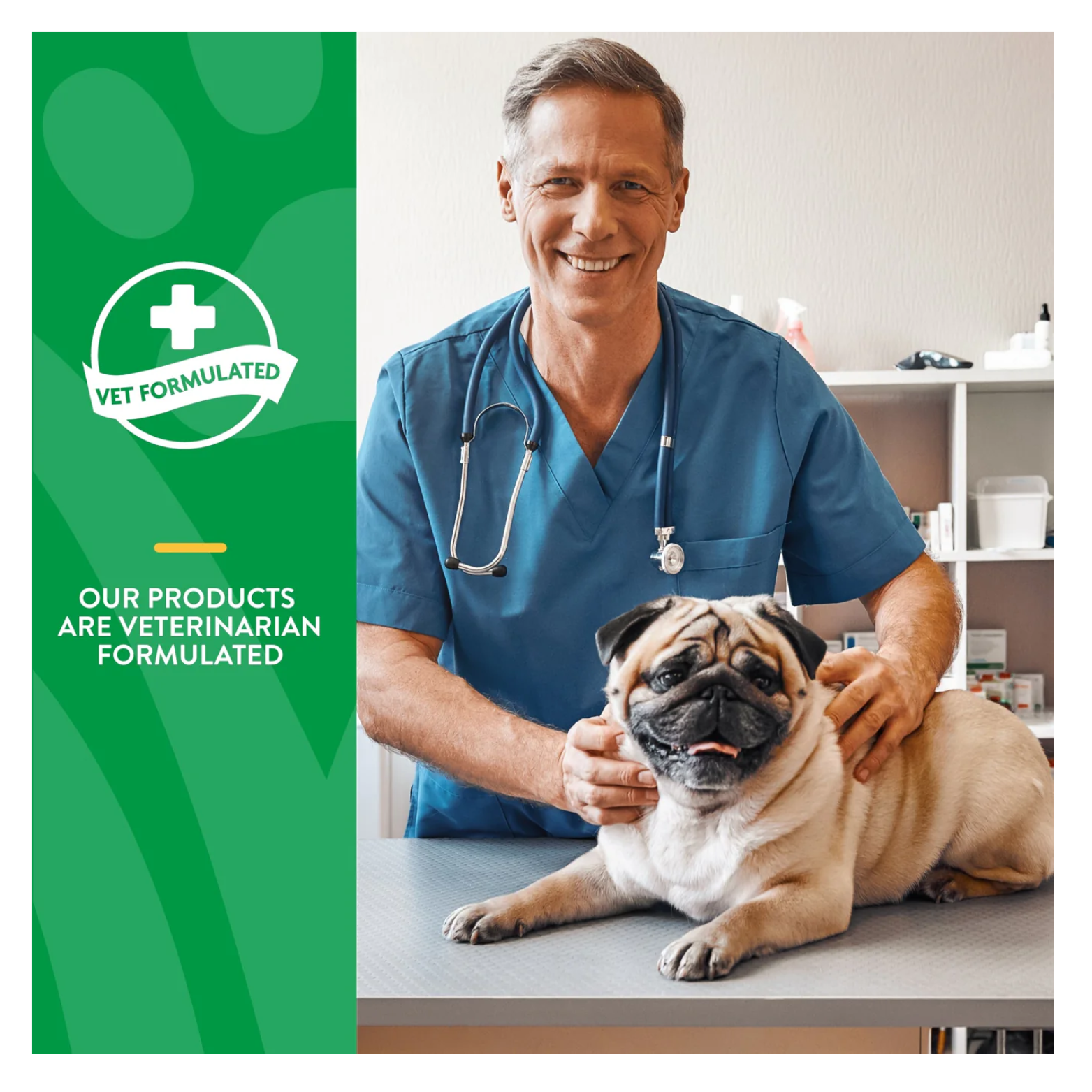 Photo of a smiling veterinarian in blue scrubs examining a pug on an exam table, with a green banner reading “Vet Formulated.”