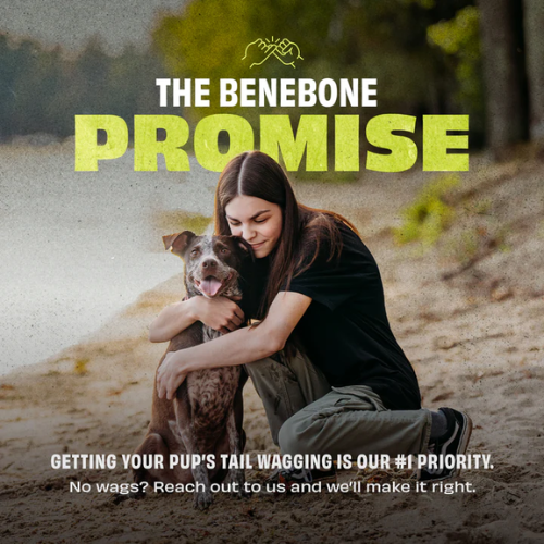 Benebone Bounce Natural Rubber Cone Enrichment Dog Toy