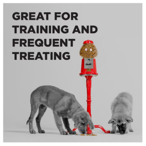 Bixbi Pocket Trainers Salmon Dog Treats 6oz