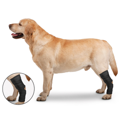 ZenPet Ortho Wrap Hock Protector for Dogs, Joint & Injury Support Wrap