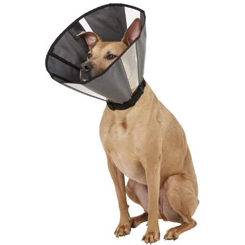 ZenPet ZenCone Soft Recovery Dog & Cat Collar
