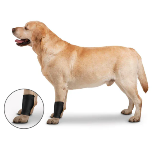 ZenPet Ortho Wrap Ligament Protector for Dogs, Joint & Injury Support Wrap