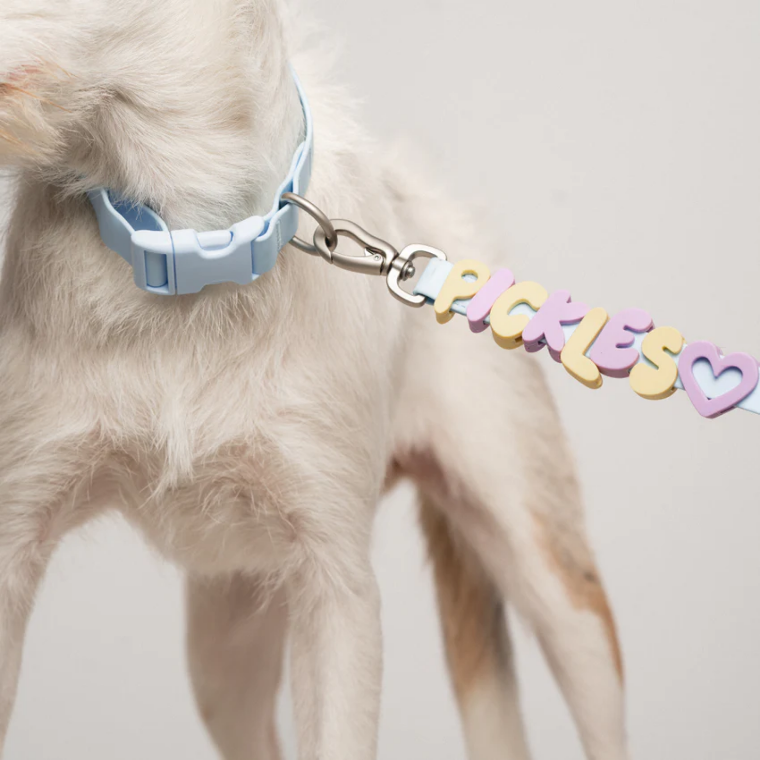 Springland Pets Dog Charm Collar Sky Blue