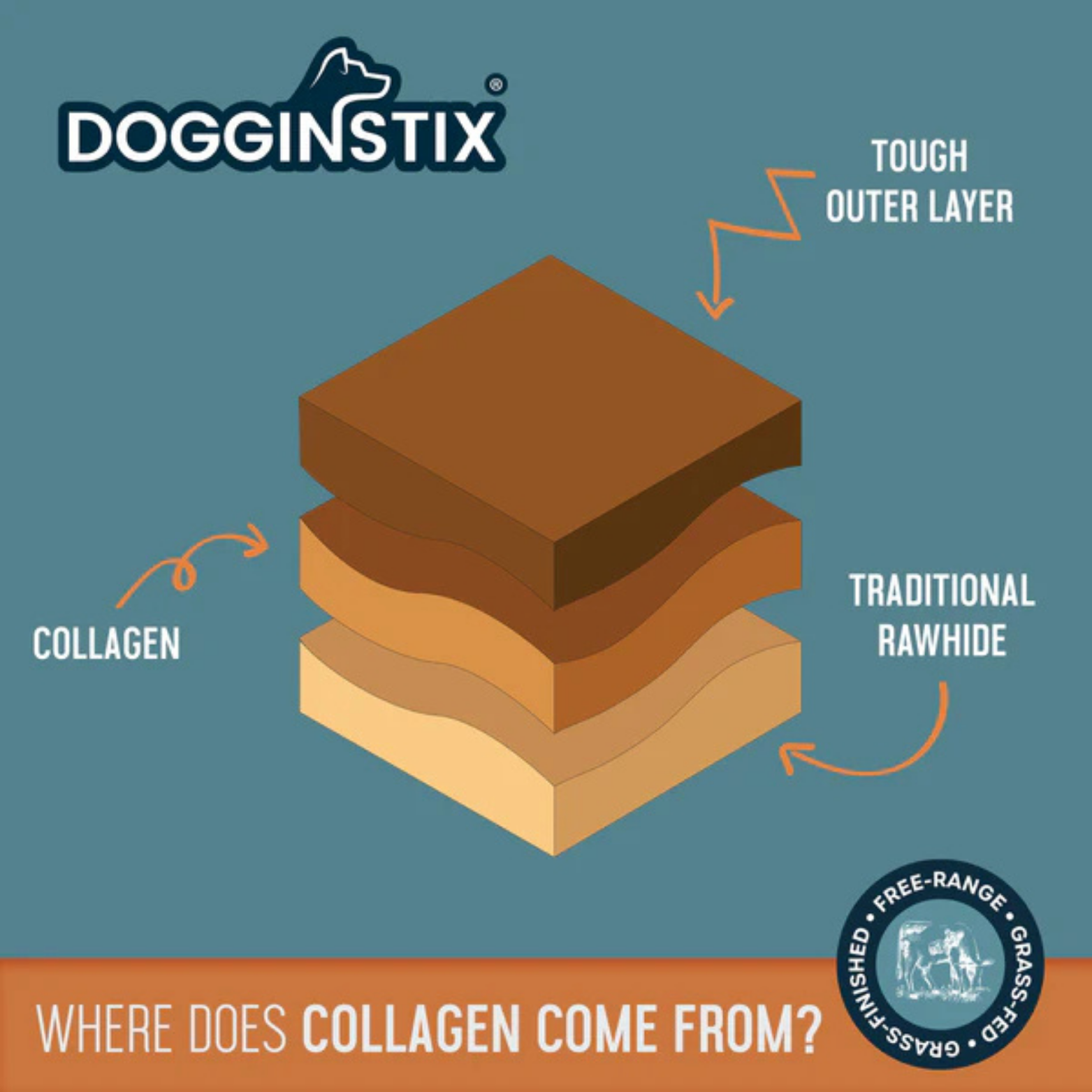Illustrated graphic showing layered dog chew materials labeled “tough outer layer,” “traditional rawhide,” and “collagen,” with the Dogginstix logo and the text “Where does collagen come from?”