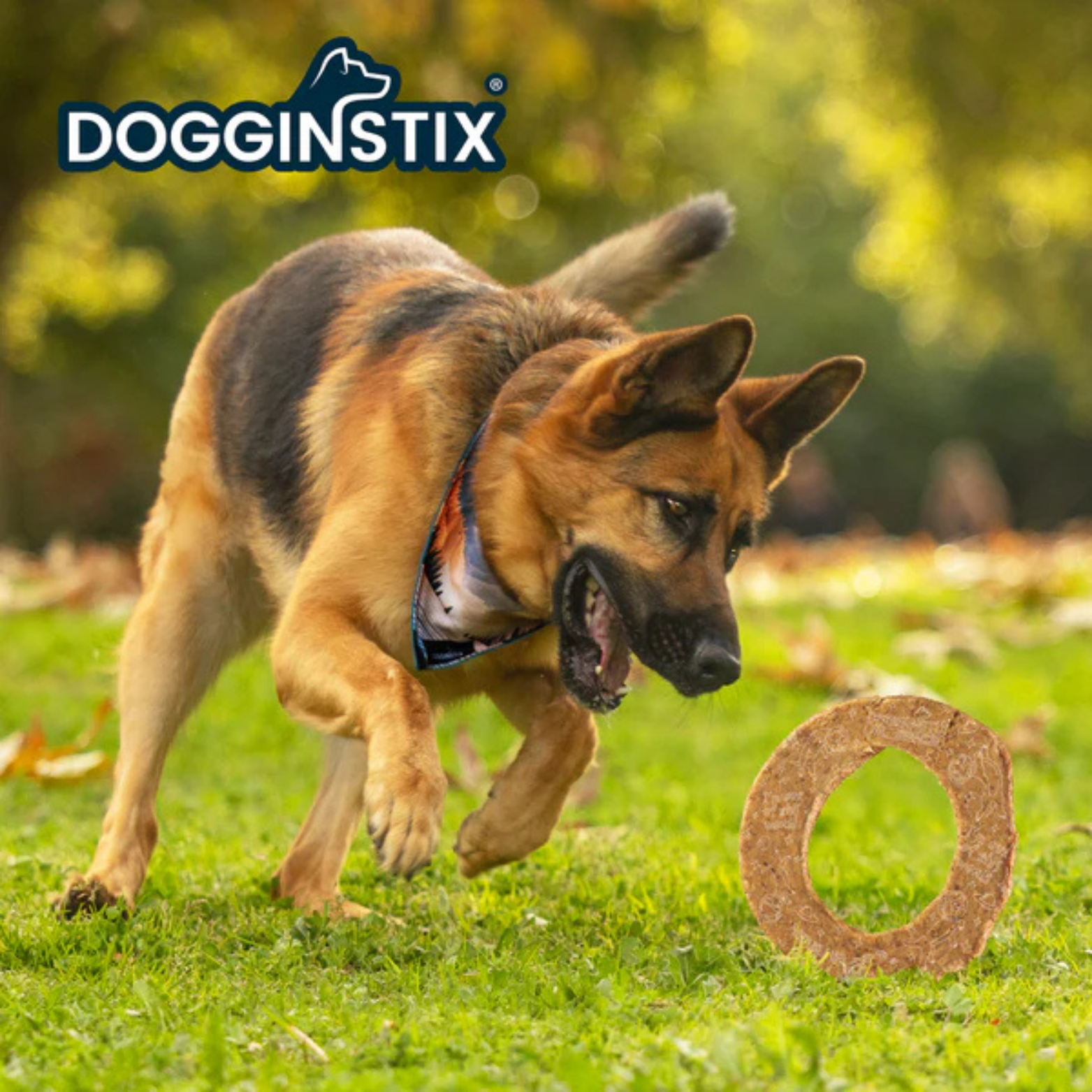 German Shepherd running on grass outdoors toward a ring-shaped DogginStix collagen chew standing upright, with the DogginStix logo in the corner