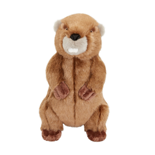 Fluff & Tuff Troy Beaver 9" Plush Dog Toy