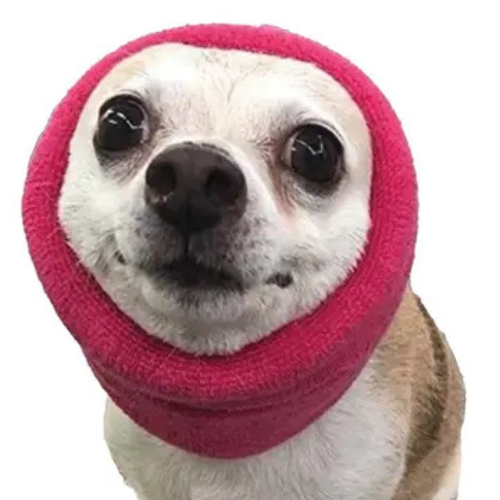 Happy Hoodie Calming Cap for Dogs