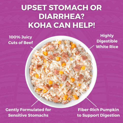 Koha Limited Ingredient Wet Bland Diet Beef & White Rice Recipe for Dogs 12.5 oz Pouch