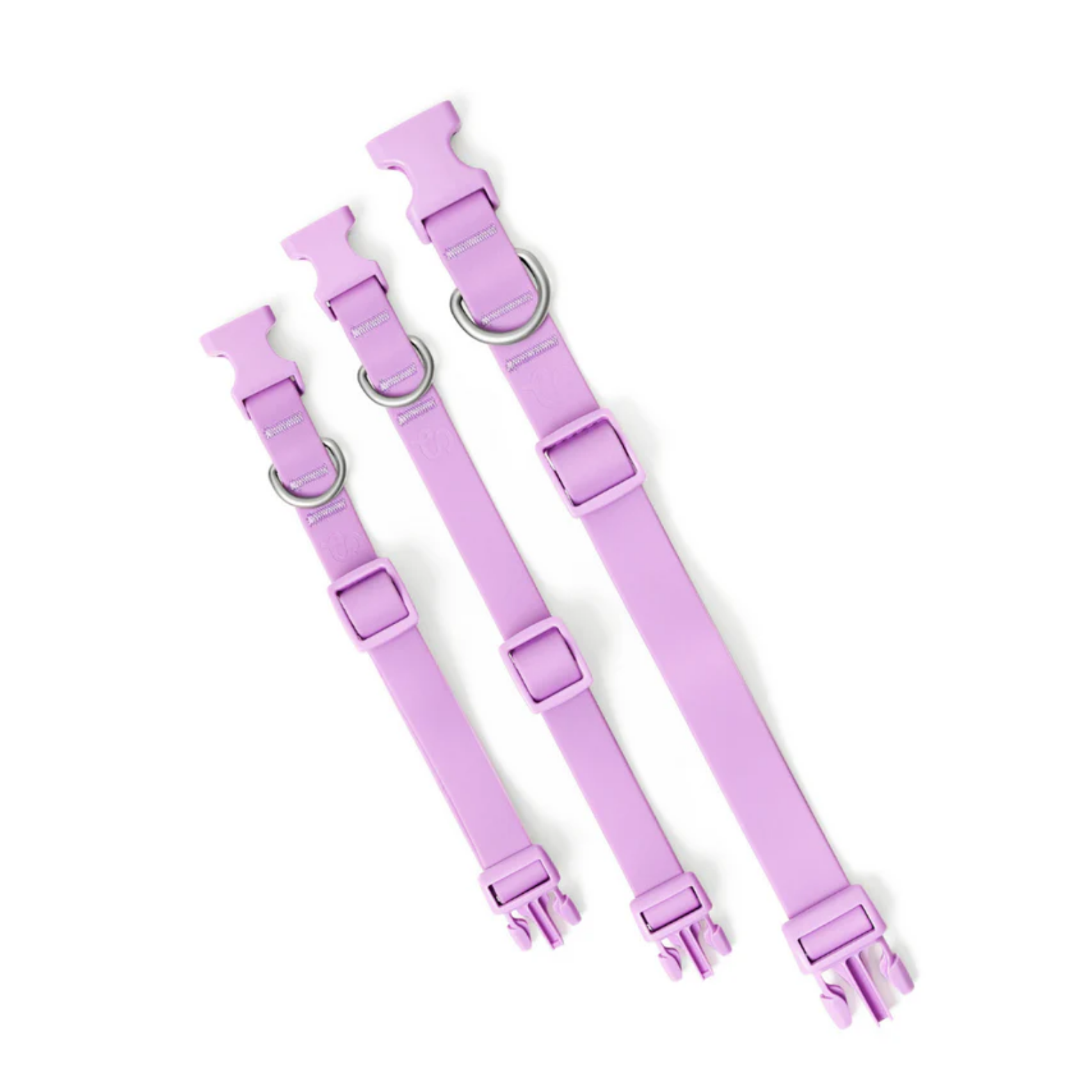 Springland Pets Dog Charm Collar Lilac