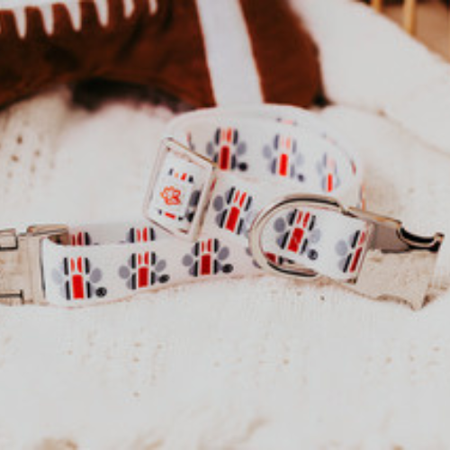 Top Rocks OSU Helmet Stripe Paw Print Collar