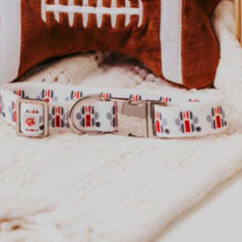 Top Rocks OSU Helmet Stripe Paw Print Collar