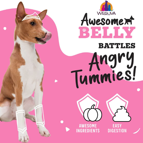 Weruva Awesome Functions Belly Beef & Rice Canned Dog Food