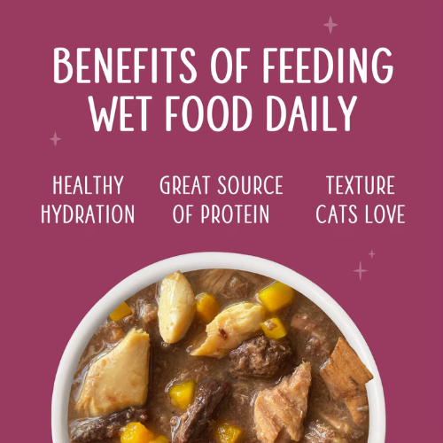 Weruva Senior Tuna & Salmon Formula in Gravy Canned Cat Food