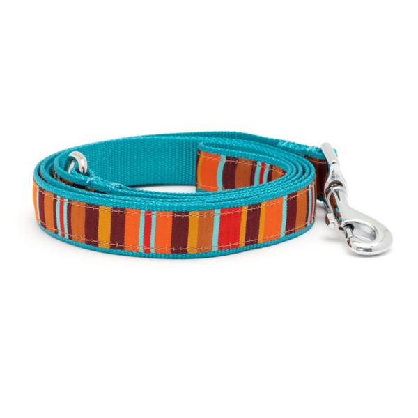 The Worthy Dog Fall Fiesta Stripe Dog Lead