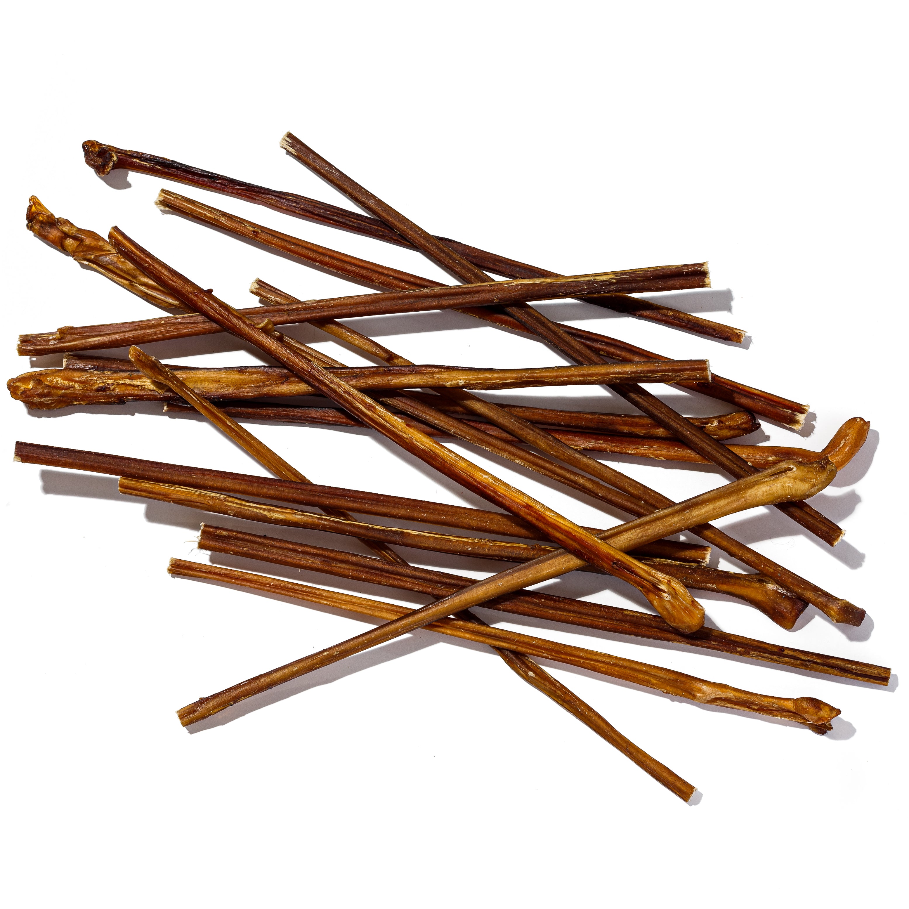 Boneanza Treat Co. Low Odor Standard Bully Stick 12" Single - Mutts & Co.