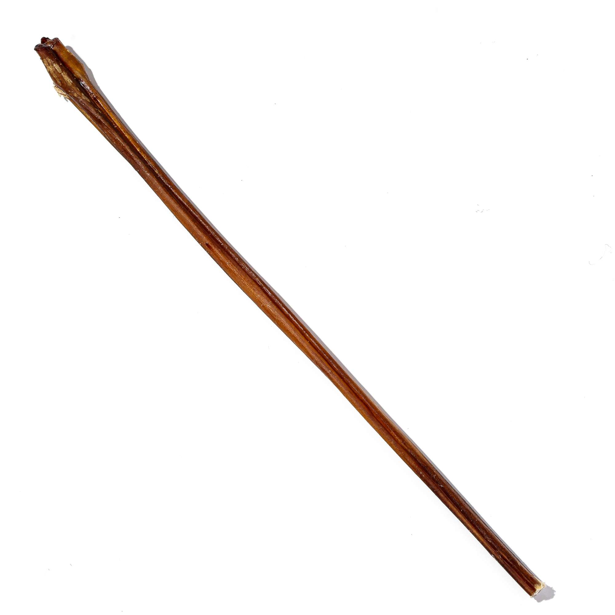 Boneanza Treat Co. Low Odor Standard Bully Stick 12" 6pk - Mutts & Co.