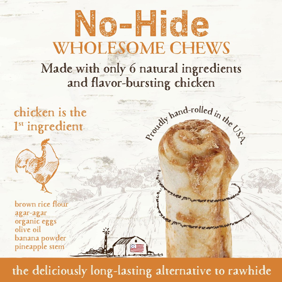 Earth Animal No-Hide Chicken Chew 2PK - Mutts & Co.