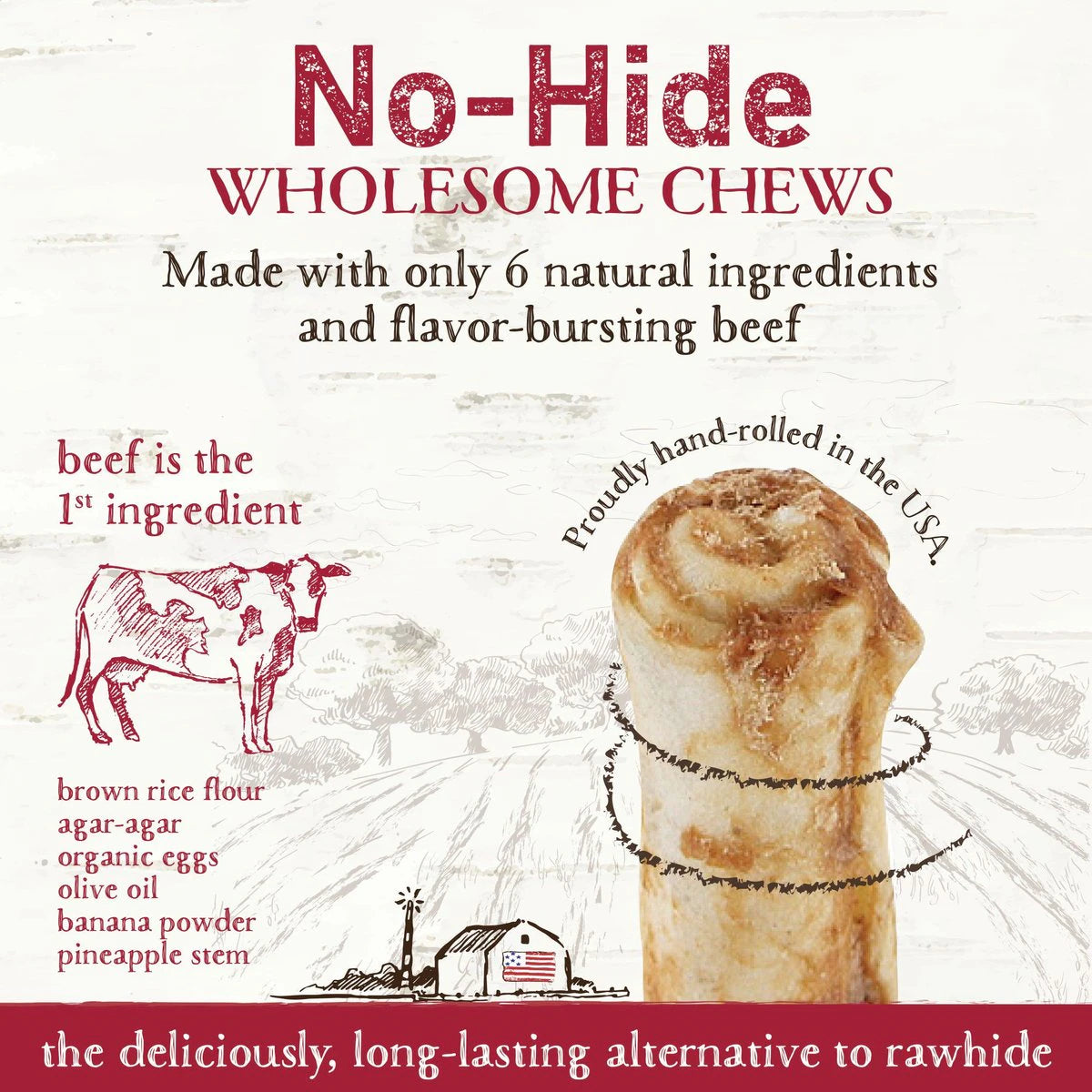 Earth Animal No-Hide Beef Chew Bulk - Mutts & Co.