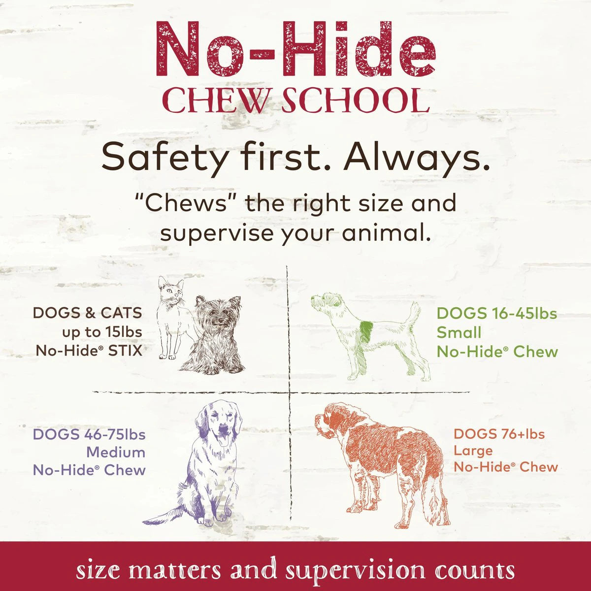 Earth Animal No-Hide Beef Chew 2PK - Mutts & Co.