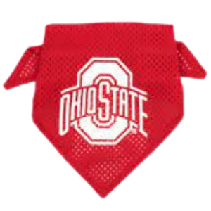The License House Mesh Bandana - Mutts & Co.