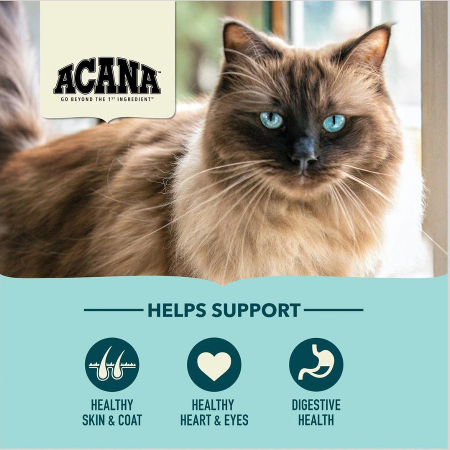 A long-haired cat with blue eyes resting indoors near a window. The ACANA logo appears above, with icons below indicating support for healthy skin and coat, healthy heart and eyes, and digestive health.