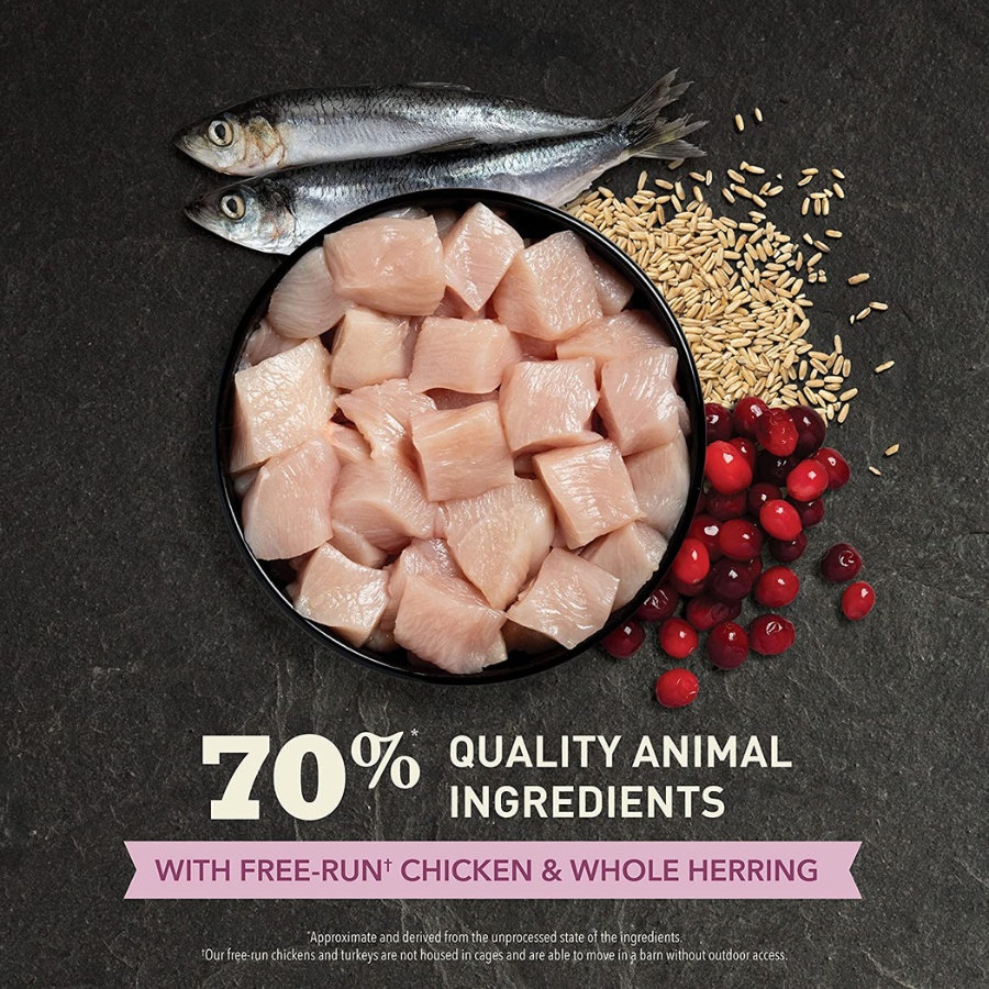 A black bowl filled with diced raw chicken sits on a dark surface beside two whole herring, scattered grains, and red berries. Text reads “70% quality animal ingredients” and “with free-run chicken & whole herring.”