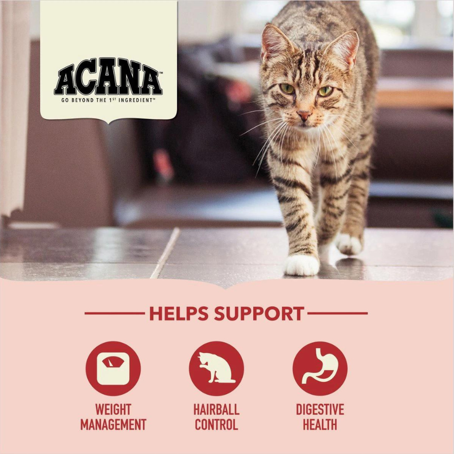 A tabby cat walking indoors toward the camera with the ACANA logo above. Icons below indicate the food helps support weight management, hairball control, and digestive health.