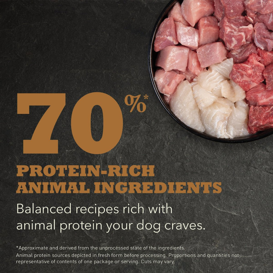 Promotional image showing a bowl of raw beef, pork, lamb, and freshwater catfish pieces on a dark stone background with large text reading “70% protein-rich animal ingredients.”
